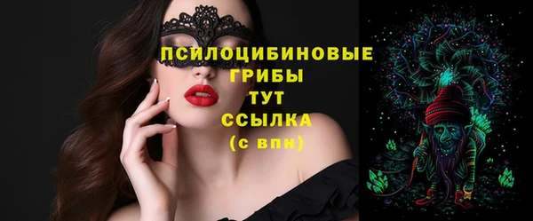 гашик Верхний Тагил