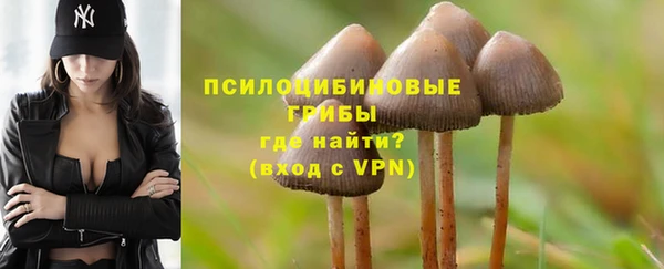 бутират Пролетарск