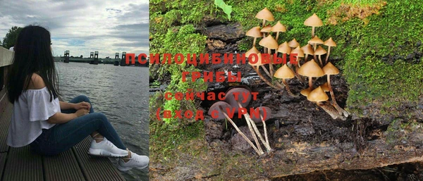 гашик Верхний Тагил
