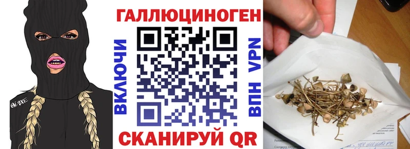 OMG tor  Лысьва  Псилоцибиновые грибы мицелий 